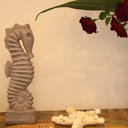 Il Salernitano Bed & Breakfast Salerno